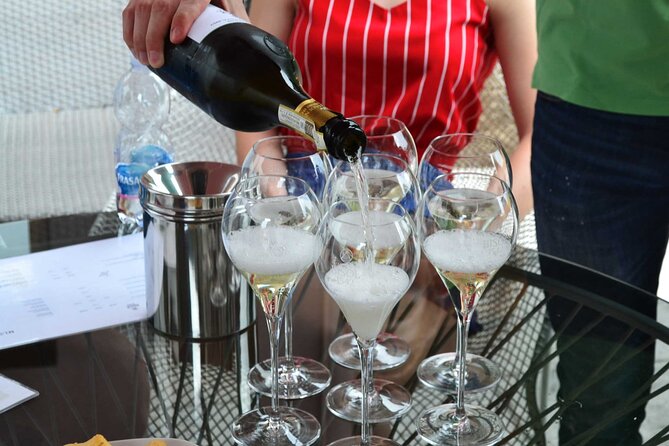 Private Tour: Prosecco Wine Tasting Day Trip with Lunch from Venice - From Piazzale Roma to Valdobbiadene: the drive that sets the tone