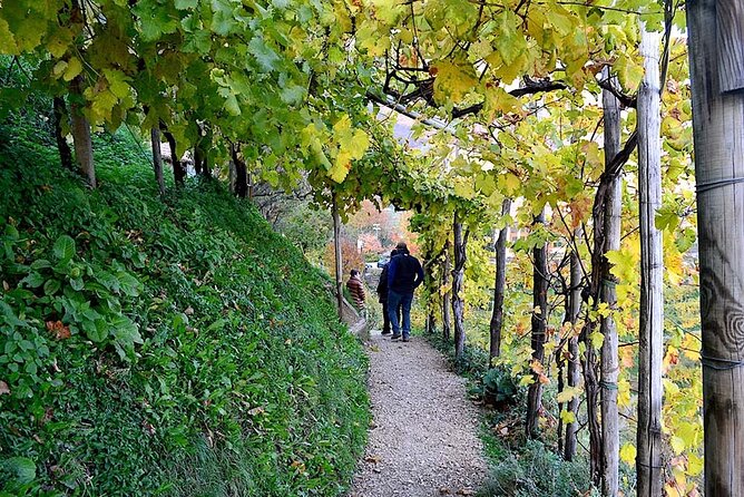 Private Tour: Prosecco Wine Tasting Day Trip with Lunch from Venice - Villa Maria in Valdobbiadene: traditional methods and a three-varietal tasting