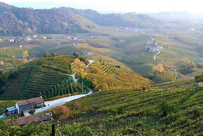 Private Tour: Prosecco Wine Tasting Day Trip with Lunch from Venice - Practical tips for a smooth, wine-friendly day
