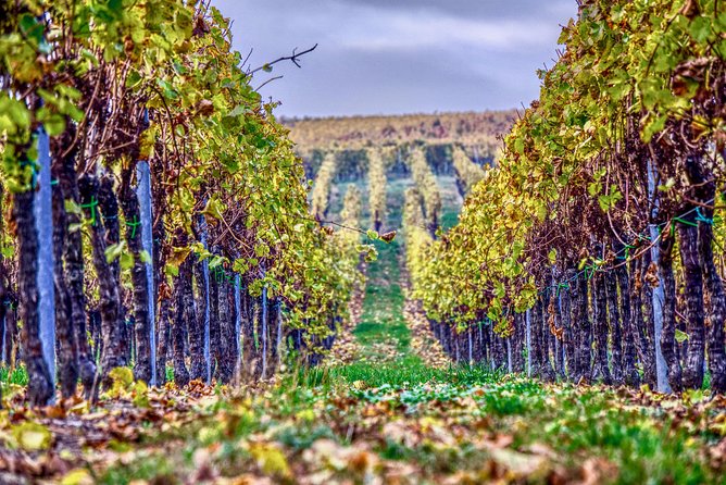 Private Valpolicella Day Trip from Venice: Wine Tasting and Verona - Key highlights to look for
