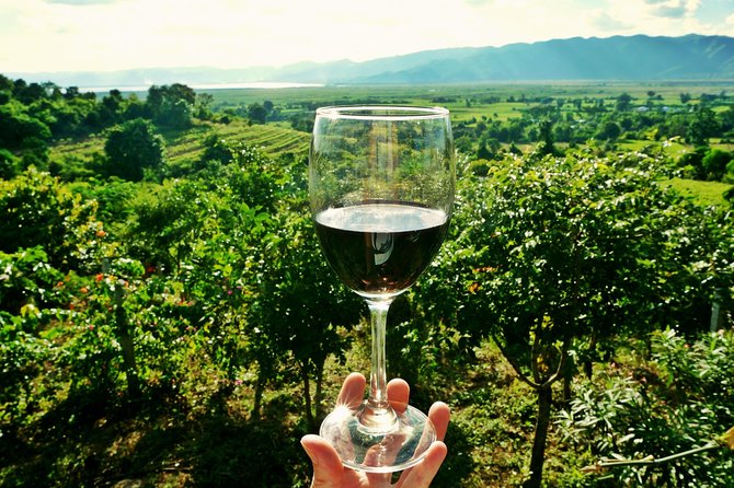 Private Valpolicella Day Trip from Venice: Wine Tasting and Verona - The winery visit: Valpolicella Amarone tasting at Villa Serego Alighieri