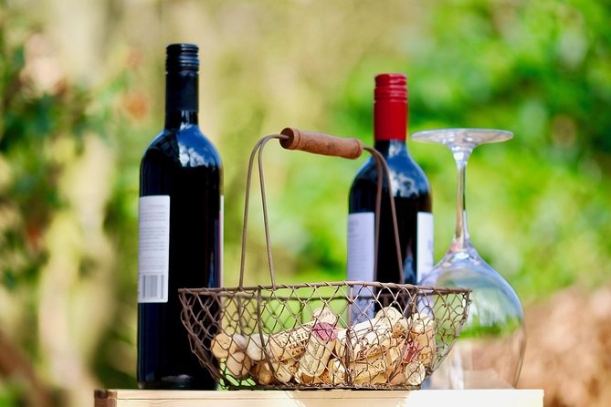 Private Valpolicella Day Trip from Venice: Wine Tasting and Verona - Price and logistics: what you’re really paying for