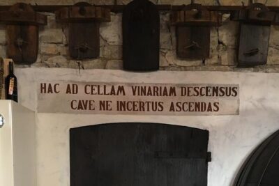 Prosecco Hills Day Trip from Venice & Treviso: 2 Wineries - Riding through UNESCO Prosecco Hills: the views that explain the wine