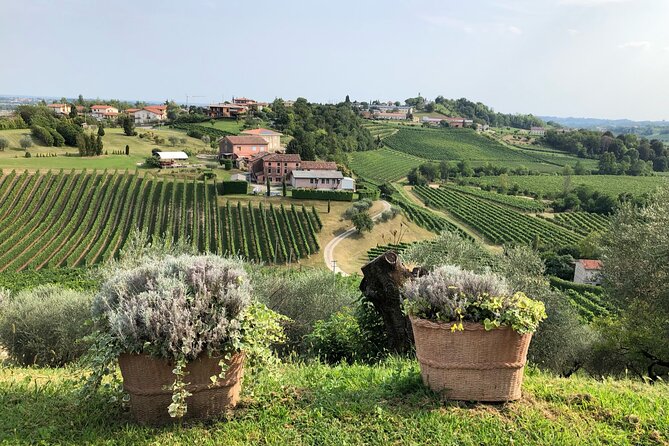 Prosecco Hills Wine and Cheese Gourmet Discovery - How the 5.5-Hour Schedule Actually Works (and How to Make It Enjoyable)