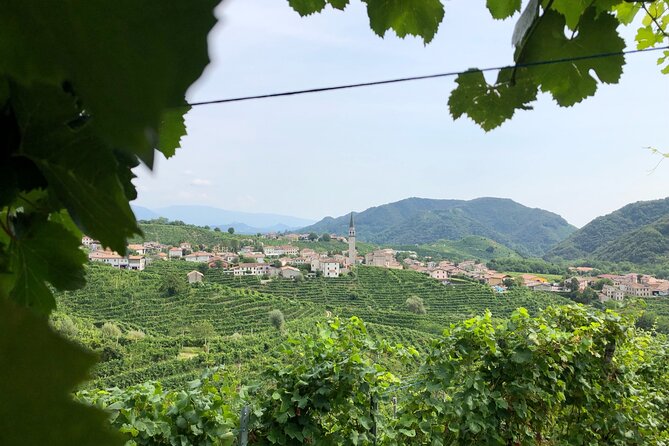 Prosecco Hills Wine and Cheese Gourmet Discovery - Price and Value: What $165.61 Includes (and Why It’s Not Just Paying for Wine)