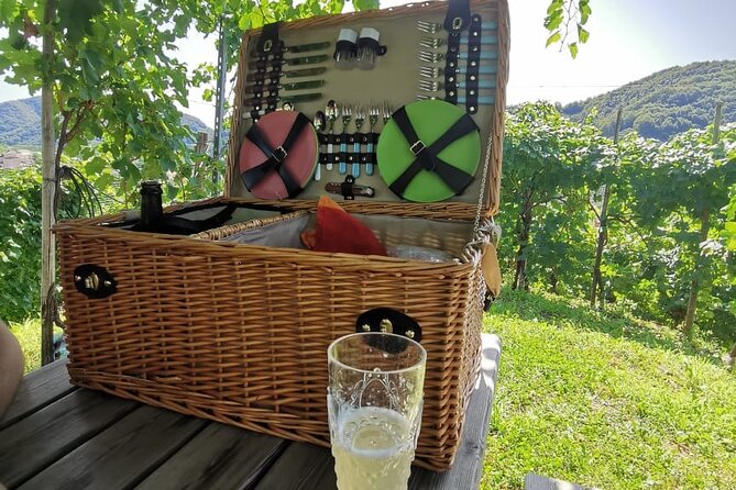 Prosecco Hills Wine and Cheese Gourmet Discovery - Who Should Book This Prosecco Hills Cheese and Wine Day Trip