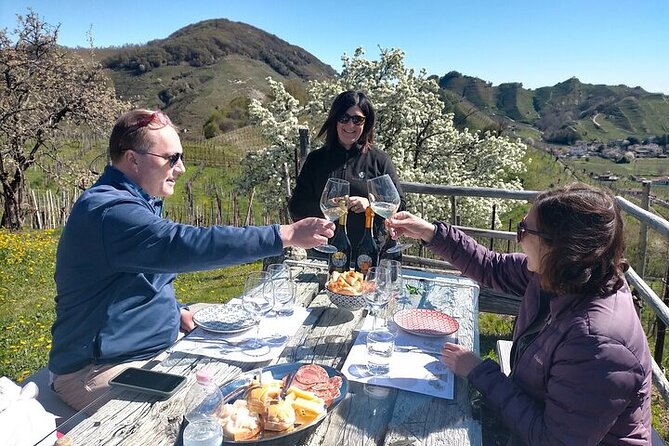 Prosecco Wine Tasting and visit Treviso from Venice - Sustainable Farming Lessons That Don’t Feel Like a Lecture