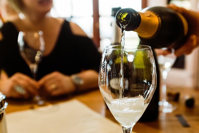 Prosecco Wine Tour (all-inclusive full day with lunch and expert wine guide) - Venice to Prosecco Country: your 8-hour rhythm