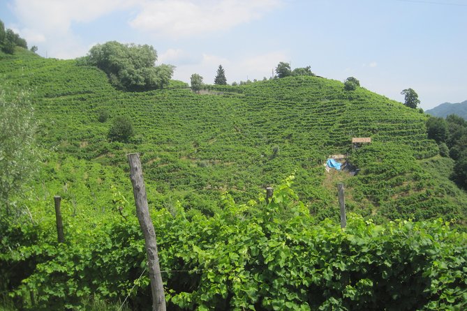 Prosecco Wine Tour (all-inclusive full day with lunch and expert wine guide) - Stop 1: entering the Prosecco DOCG producing area