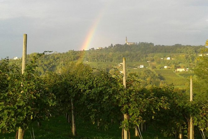 Prosecco Wine Tour. Full day from Venice - Getting There From Piazzale Roma: 10:00 Start, 7 Hours, and Real Comfort