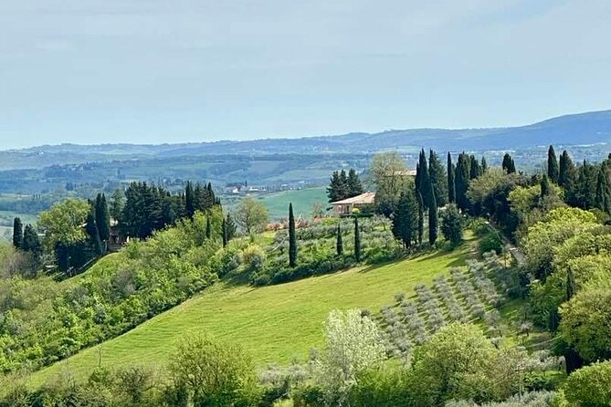 Prosecco Wine Tour. Full day from Venice - Winery Stop Two: Comparing Styles Plus a Lunch That Actually Helps
