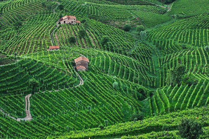 Prosecco Wine Tour. Full day from Venice - Price and Value: Is $340.65 a Good Deal?