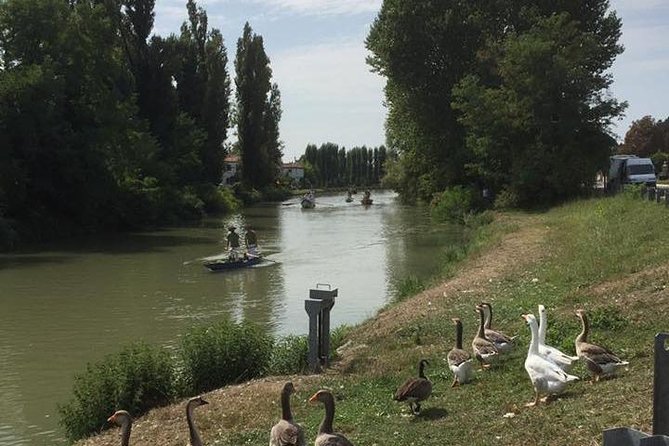 Riviera del Brenta Bike Tour - Price and value: is € extras-free sightseeing worth $83.08?