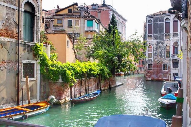 Tasty Street Food Tour of Venice City Center with Cicchetti & Local Specialties - Dietary needs: what’s possible and what to ask before you book