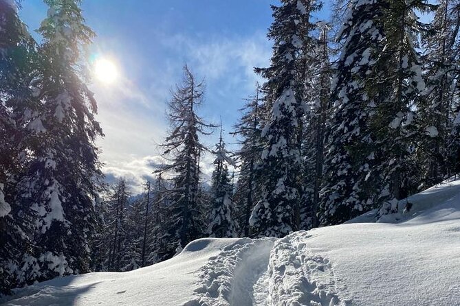 UNESCO Dolomites great expedition from Venice by Yellowboot - Belluno Dolomites: Traditional Food Time in a Mountain Chalet