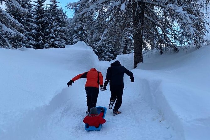 UNESCO Dolomites great expedition from Venice by Yellowboot - Conegliano Return: Last Stretch Back to Venice