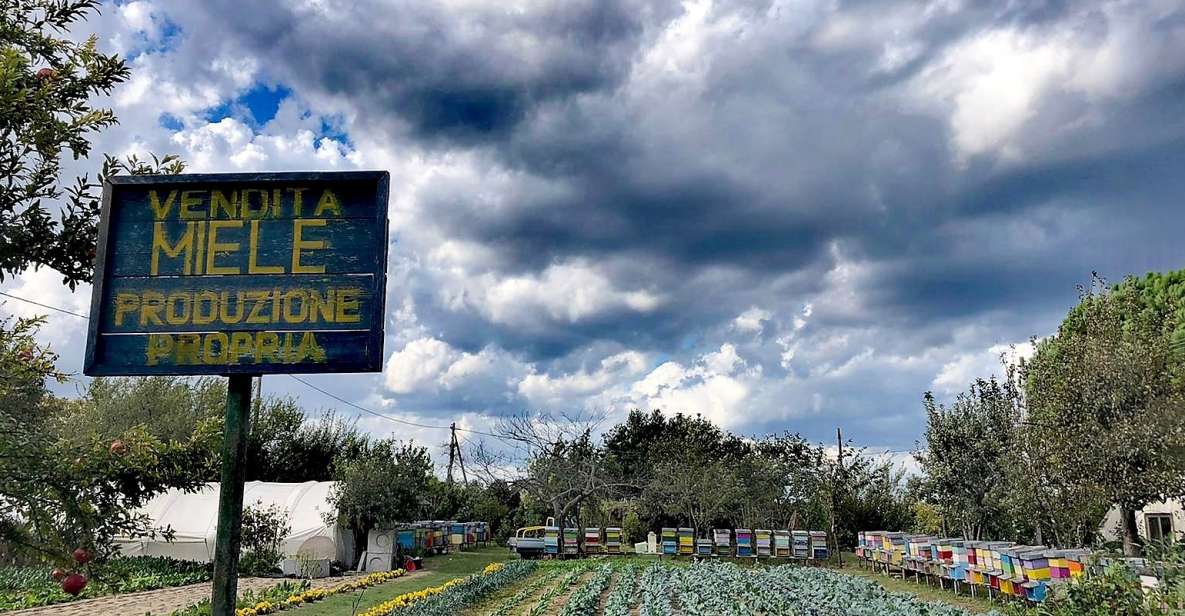 Venice: Bike Tour Honey & artichockes on Sant’Erasmo Island - Meeting at Fondamente Nove, then out into the lagoon