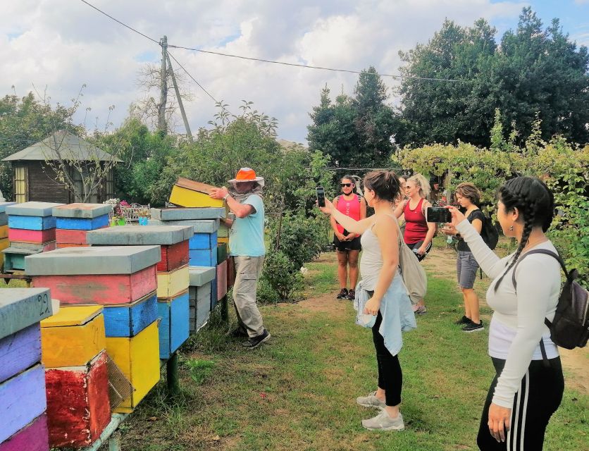 Venice: Bike Tour Honey & artichockes on Sant’Erasmo Island - The 19th-century fort start and your bike moment