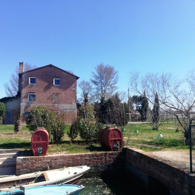 Venice: Bike Tour Honey & artichockes on Sant’Erasmo Island - Honey farm stop: saltmarsh honey with a real taste story