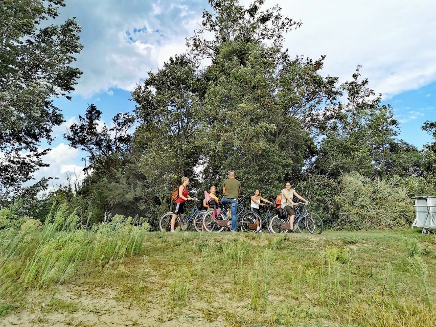 Venice: Bike Tour Honey & artichockes on Sant’Erasmo Island - Looking toward other islands, without leaving your seat on the bike