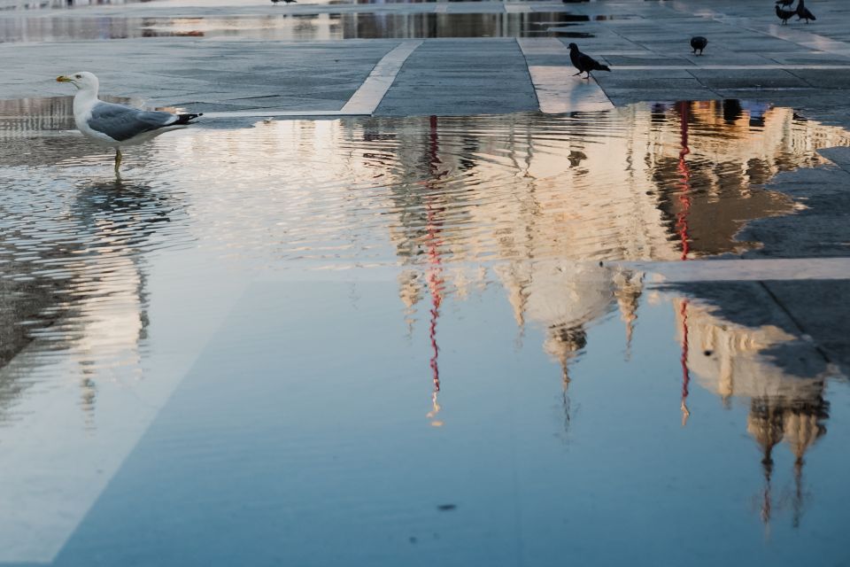 Venice: City Tour and Murano Glass Experience - Should you book it? My practical verdict