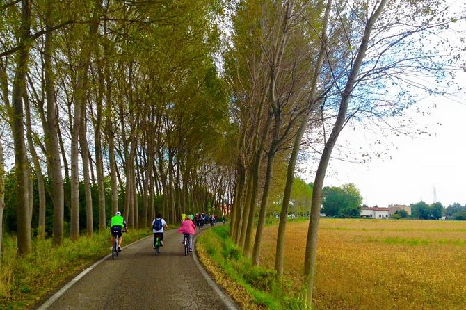 Venice Countryside Bike Tour - The bike ride itself: short breaks, a workable pace