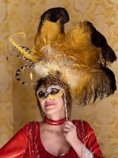 Venice: Dress-Up Experience - Picking Your 17th–18th Look: Dresses, Suits, Masks, and Hats