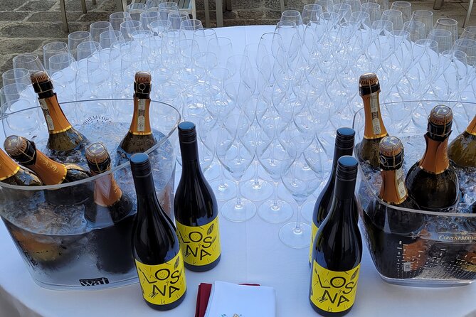 Venice like a local: Vini and Cichetti at Liuba and Hugo's home - Who This Evening Is Best For (and Who Should Skip)