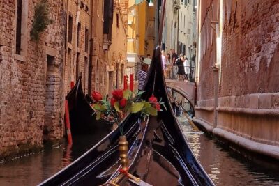 Venice Private Walking Tour - Teatro La Fenice: why an opera house belongs on a walking tour