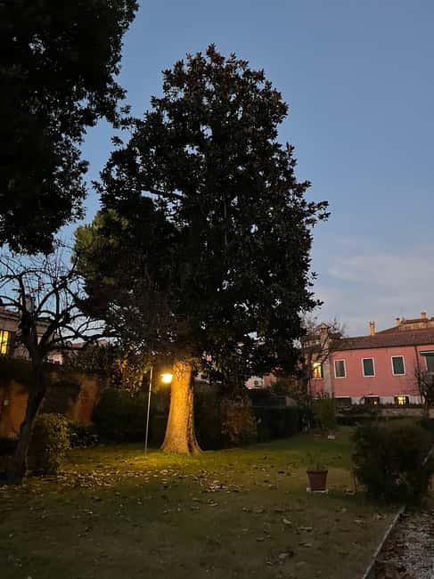 Venice: Sunrise Walking Tour with Espresso - Price and Value: What You’re Really Paying For