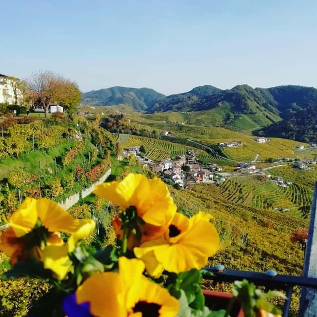 Venice: wine tour tasting along the Unesco Prosecco hills - Why the Prosecco Hills in the UNESCO Zone Are the Real Point