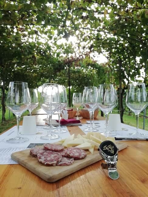 Venice: wine tour tasting along the Unesco Prosecco hills - Piazzale Roma Start: Getting Oriented and Out of Venice Smoothly