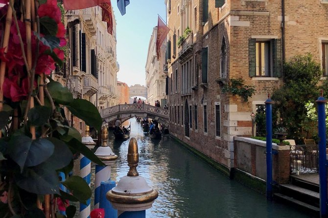 Walking Tour of Venice from St. Mark's Square to Rialto - Price and value: why $40.14 can be worth it